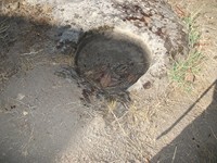 gale-20120725 119